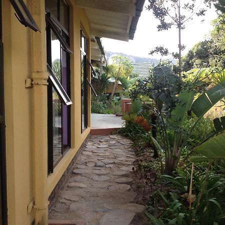 Jungle Monkey Backpackers Port Saint Johnʼs Exterior foto