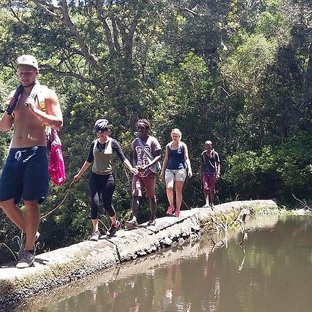 Jungle Monkey Backpackers Port Saint Johnʼs Exterior foto
