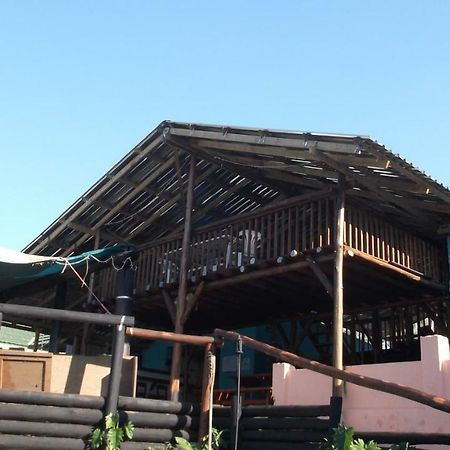 Jungle Monkey Backpackers Port Saint Johnʼs Exterior foto