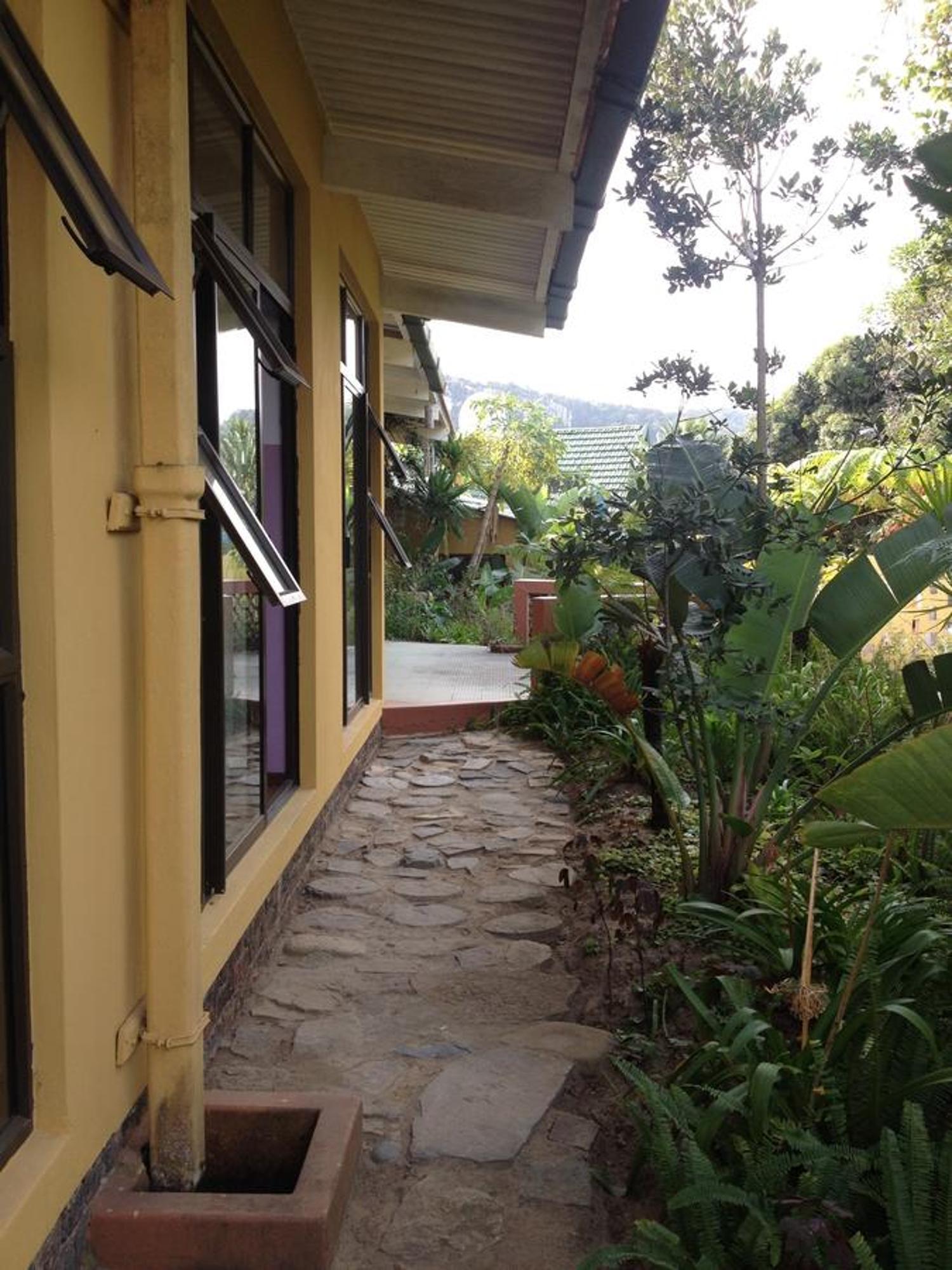 Jungle Monkey Backpackers Port Saint Johnʼs Exterior foto