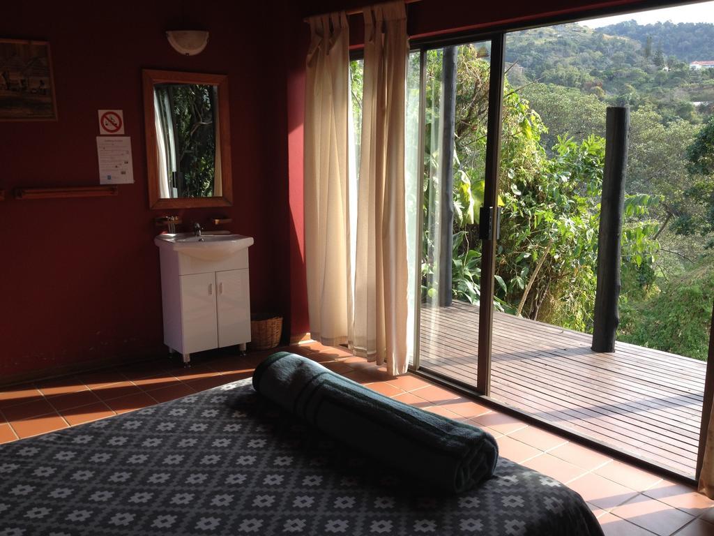 Jungle Monkey Backpackers Port Saint Johnʼs Quarto foto