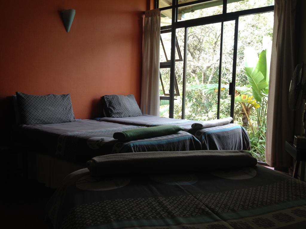 Jungle Monkey Backpackers Port Saint Johnʼs Quarto foto