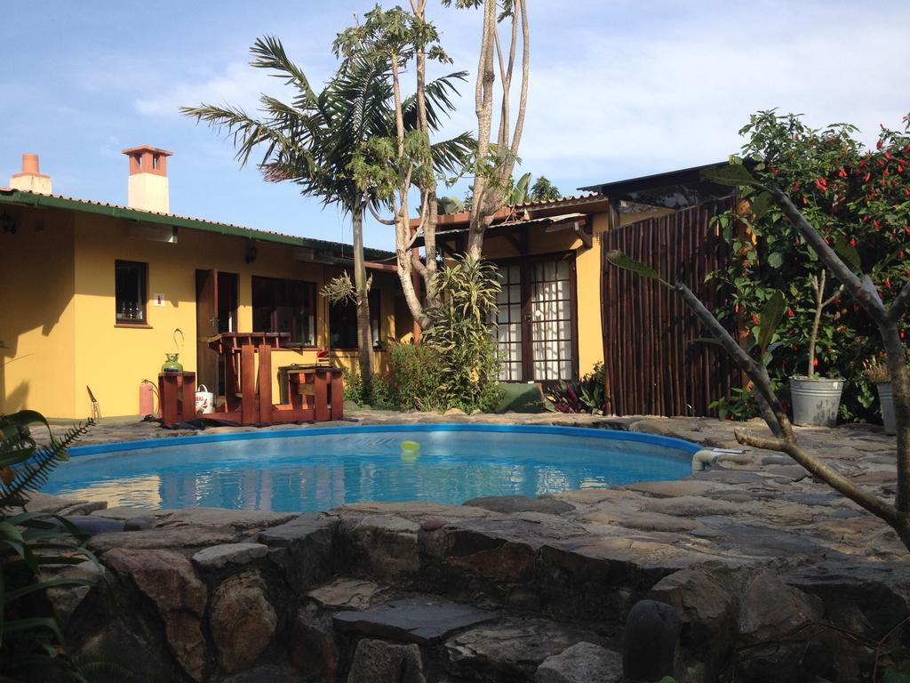 Jungle Monkey Backpackers Port Saint Johnʼs Quarto foto