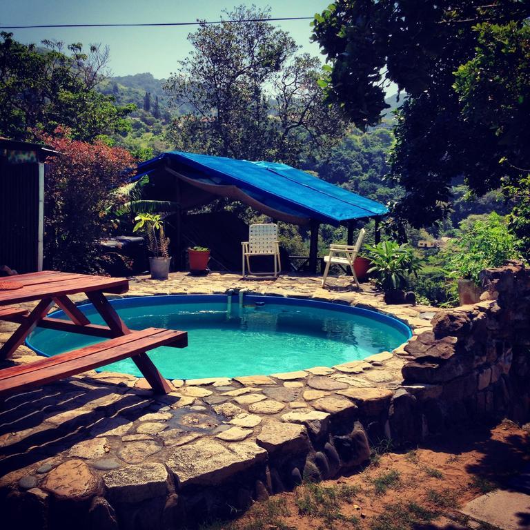 Jungle Monkey Backpackers Port Saint Johnʼs Quarto foto