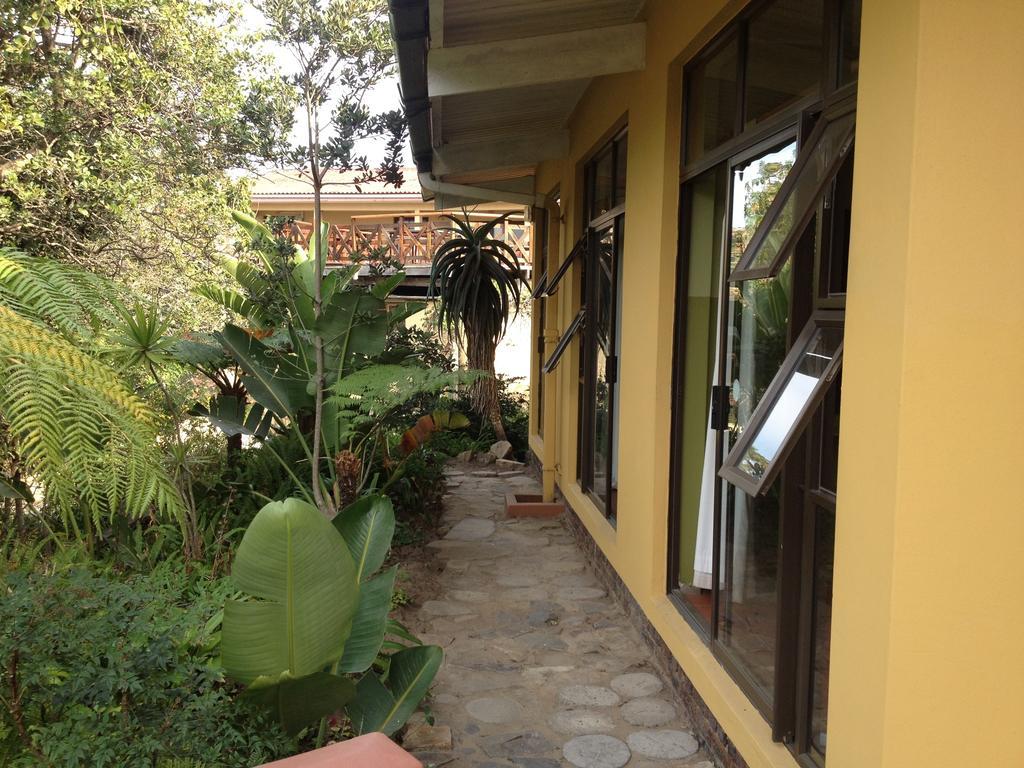 Jungle Monkey Backpackers Port Saint Johnʼs Quarto foto