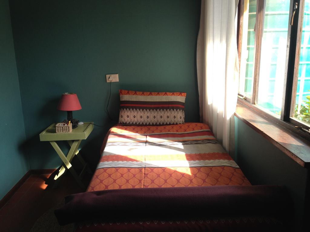 Jungle Monkey Backpackers Port Saint Johnʼs Quarto foto