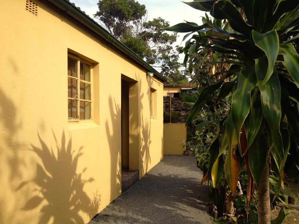 Jungle Monkey Backpackers Port Saint Johnʼs Quarto foto