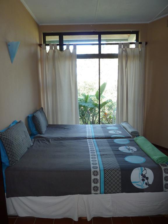 Jungle Monkey Backpackers Port Saint Johnʼs Quarto foto