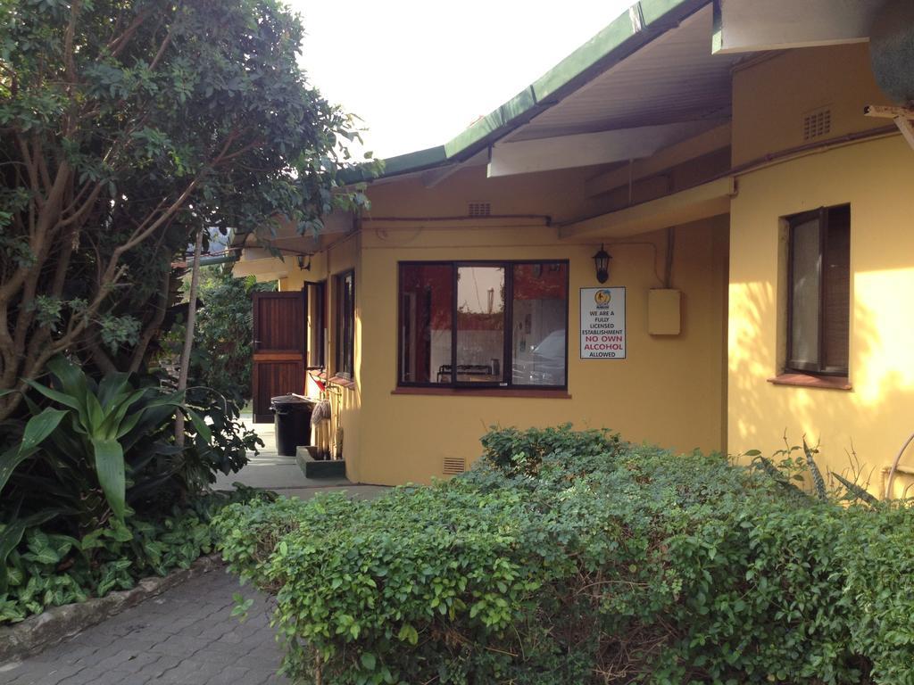 Jungle Monkey Backpackers Port Saint Johnʼs Quarto foto