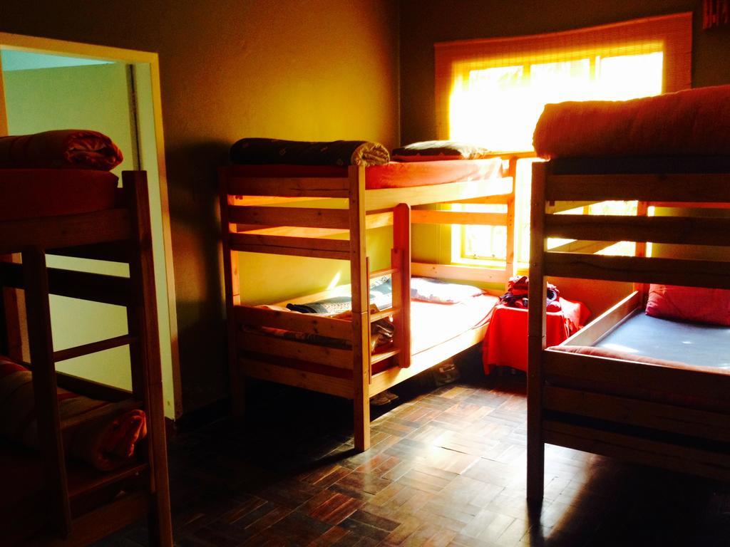 Jungle Monkey Backpackers Port Saint Johnʼs Quarto foto