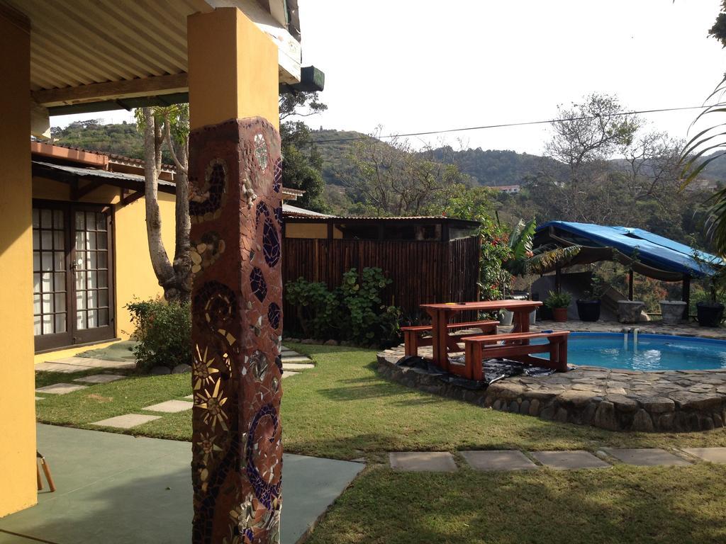 Jungle Monkey Backpackers Port Saint Johnʼs Quarto foto