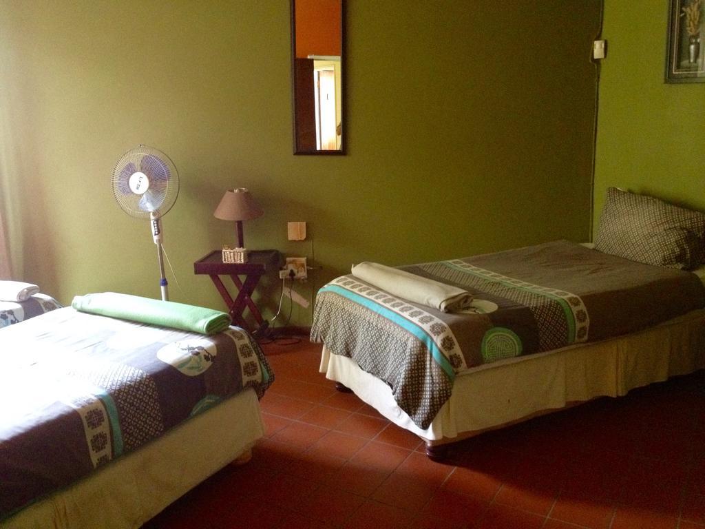 Jungle Monkey Backpackers Port Saint Johnʼs Quarto foto
