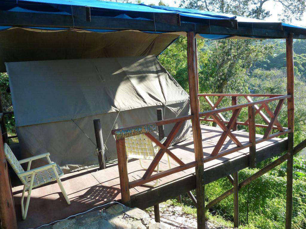 Jungle Monkey Backpackers Port Saint Johnʼs Quarto foto