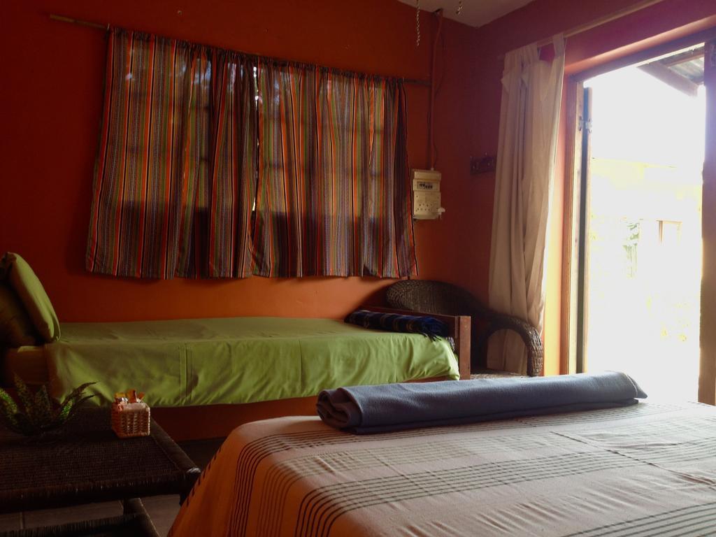 Jungle Monkey Backpackers Port Saint Johnʼs Quarto foto