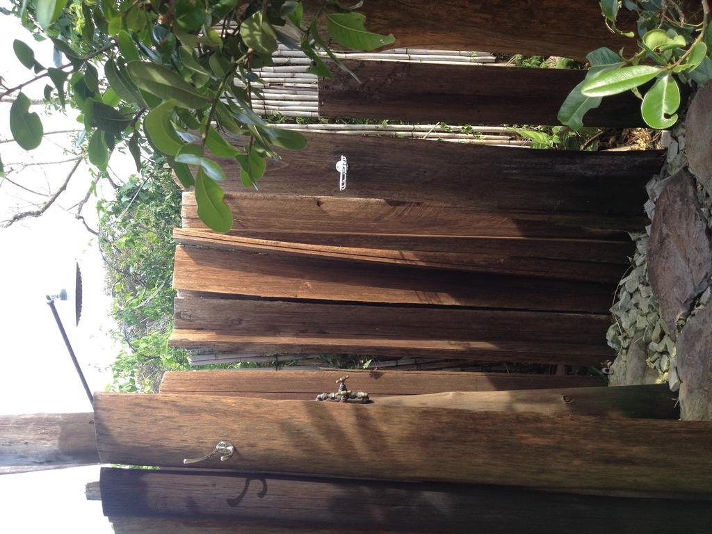 Jungle Monkey Backpackers Port Saint Johnʼs Quarto foto