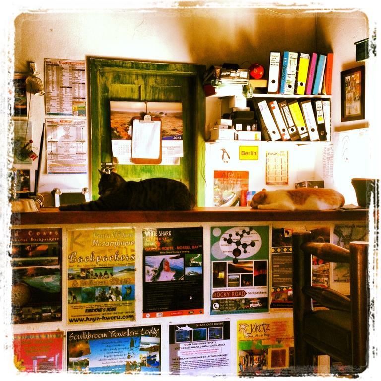 Jungle Monkey Backpackers Port Saint Johnʼs Exterior foto