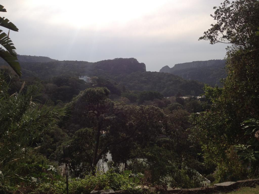 Jungle Monkey Backpackers Port Saint Johnʼs Quarto foto