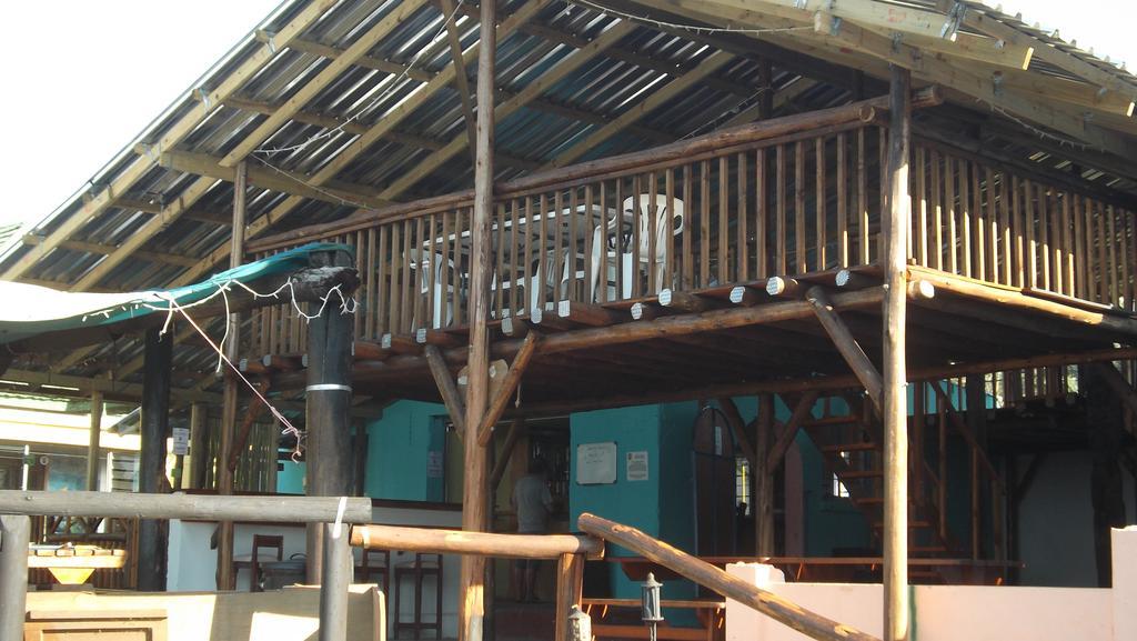 Jungle Monkey Backpackers Port Saint Johnʼs Exterior foto