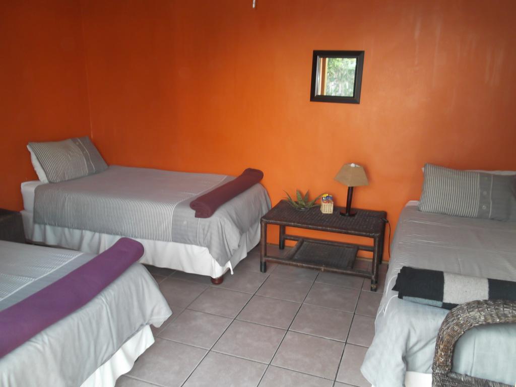 Jungle Monkey Backpackers Port Saint Johnʼs Exterior foto