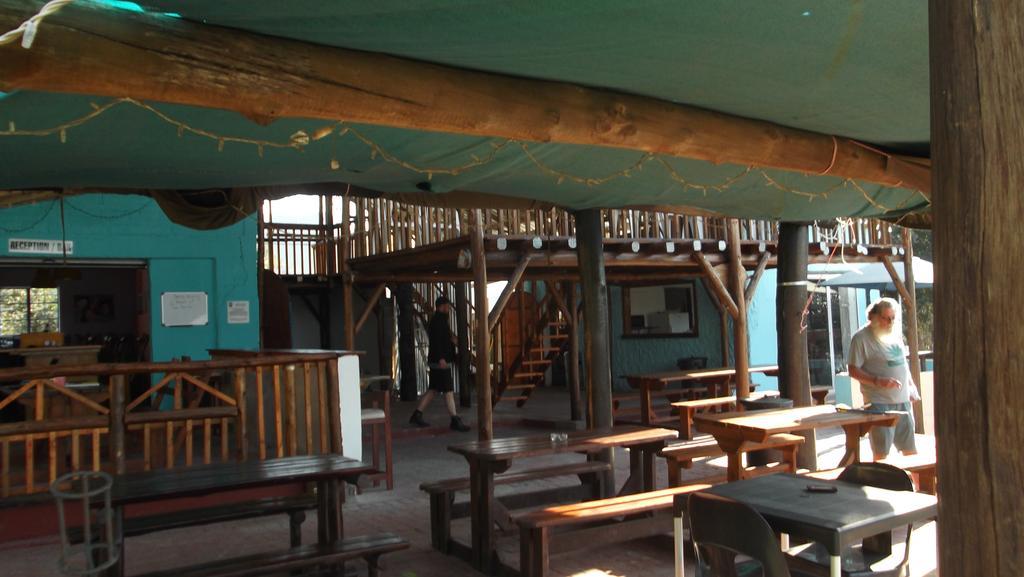 Jungle Monkey Backpackers Port Saint Johnʼs Exterior foto