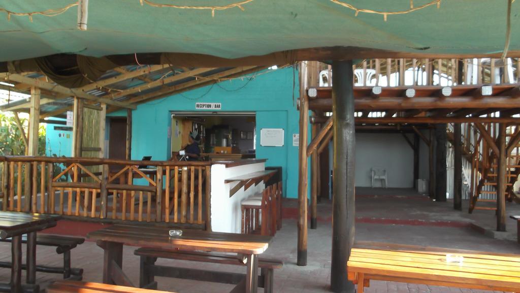 Jungle Monkey Backpackers Port Saint Johnʼs Exterior foto
